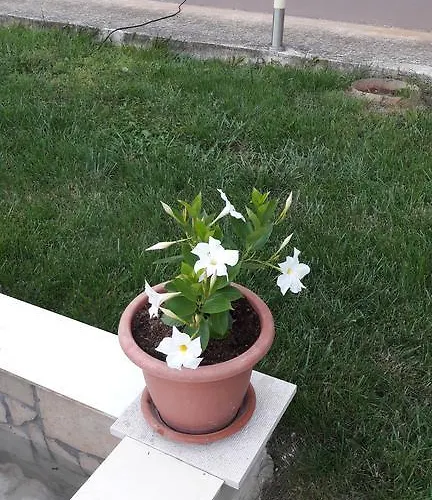 Tea 아파트 로비니